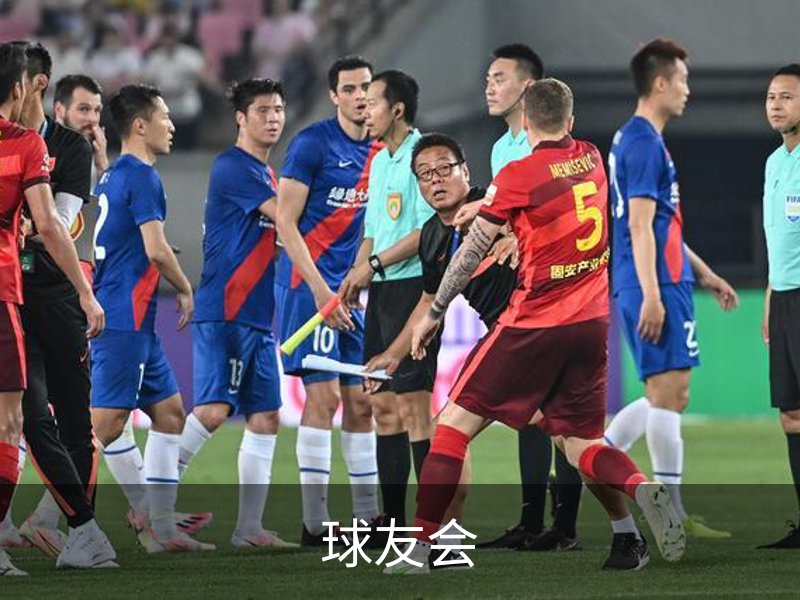 球友会简介